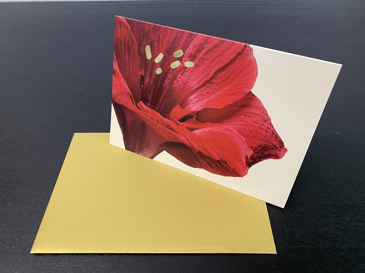 Grußkarte "rote Amaryllis"